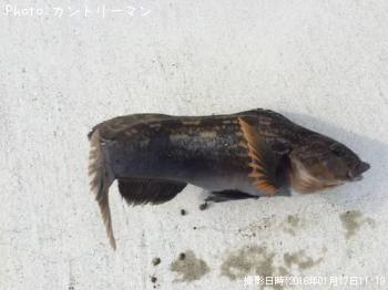 �����ʥ�