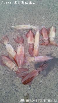 ¥±¥ó¥µ¥¥¤¥«