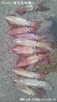 ¥±¥ó¥µ¥¥¤¥«