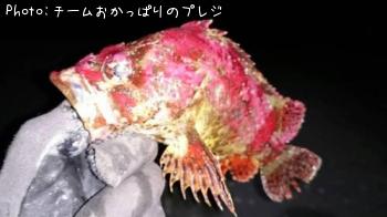 �������Х�