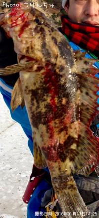 ¥Ù¥Ã¥³¥¦¥½¥¤