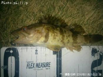 �����Υ���Х�