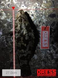 �����Υ���Х�