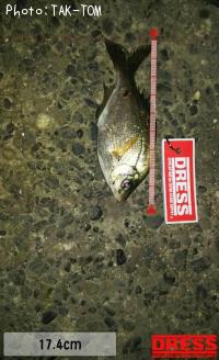 ¥¦¥ß¥¿¥Ê¥´