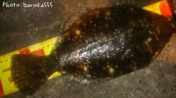 �����ޥ����쥤