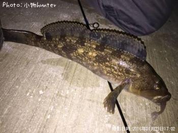 �����ʥ�