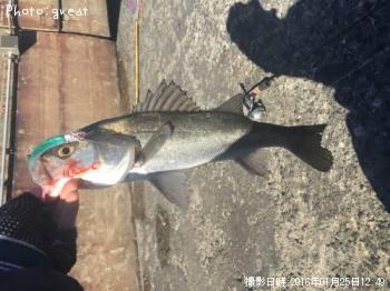 �����Х�