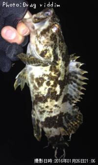 �����Υ���Х��������