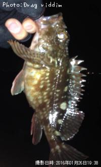 �����Υ���Х��������