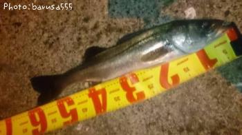 �����Х�