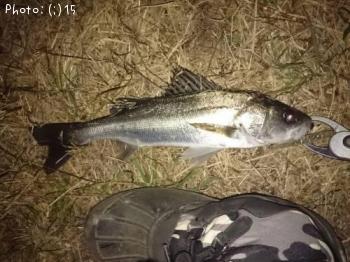 �����Х�