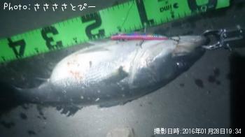 �����Х�