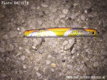 �����Х�