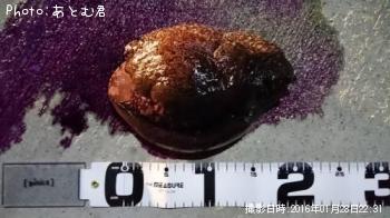 ���ߥ���