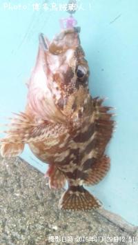 ¥¢¥é¥«¥Ö¡Ê¥«¥µ¥´¡Ë