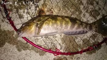 �����ʥ�