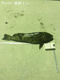 �����ʥ�