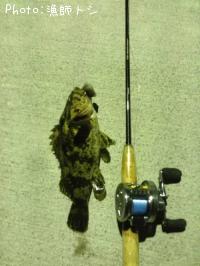 �����Υ���Х�