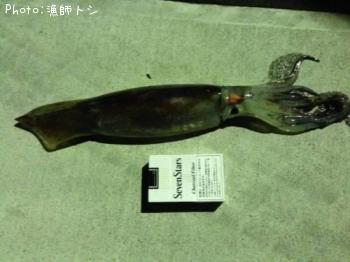 ¥¹¥ë¥á¥¤¥«