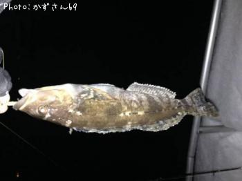 �����ʥ�