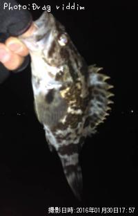 �����Υ���Х�