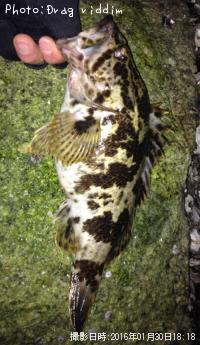 �����Υ���Х�