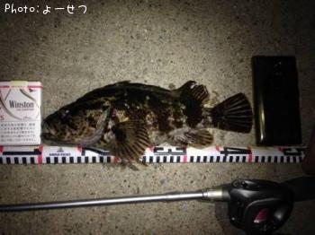 �����Υ���Х�