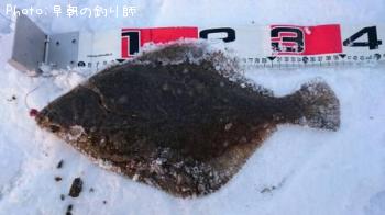 ¥¤¥·¥«¥ì¥¤