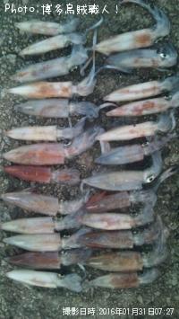 ���󥵥�����