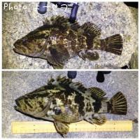 �����Υ���Х�