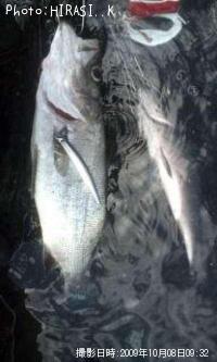 �ҥ饹����