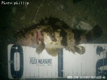 �����Υ���Х�