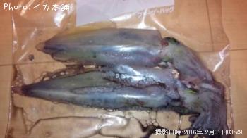 �֥ɥ�����