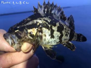 �����Υ���Х�