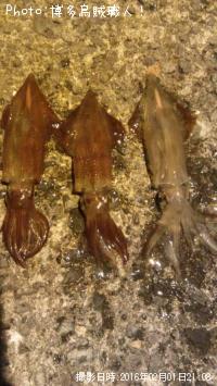 ���󥵥�����