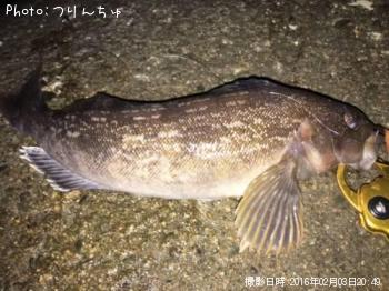 �����ʥ�