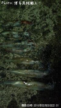 ��ꥤ�������󥵥�����