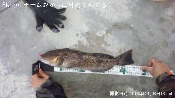 �����ʥ�