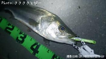 �����Х�