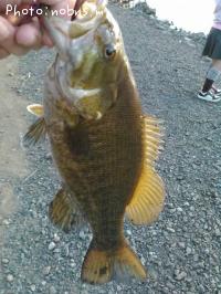 ¥Ö¥é¥Ã¥¯¥Ð¥¹