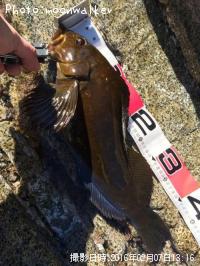 �����ʥ�