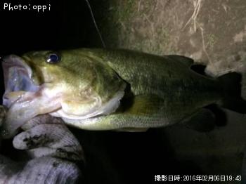 ¥Ö¥é¥Ã¥¯¥Ð¥¹