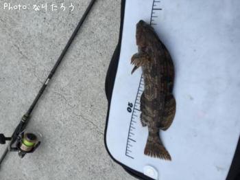 �����ʥ�