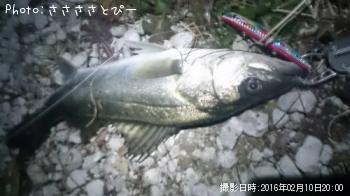 �����Х�