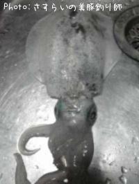 �����ꥤ��