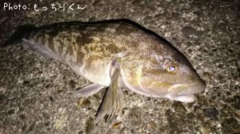 �����ʥ�