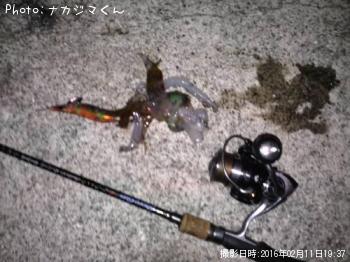 �����ꥤ���β�Ⱦ��