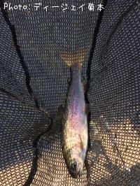 �˥��ޥ�