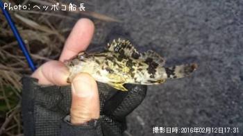 �����Υ���Х�