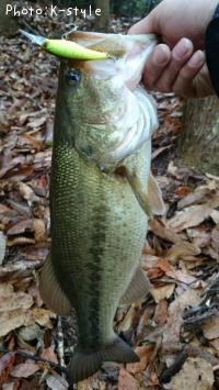 �֥�å��Х�